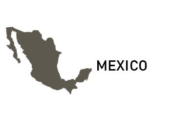Scrg Mexico